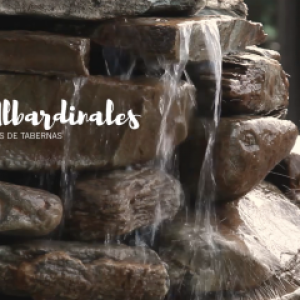 albardinales-1
